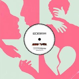Vinyl Disk