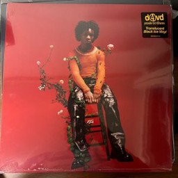 Vinyl Disk
