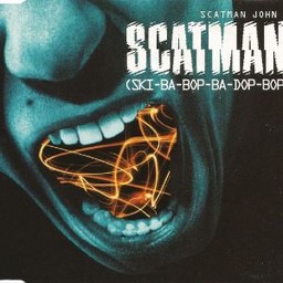 Vinyl Disk